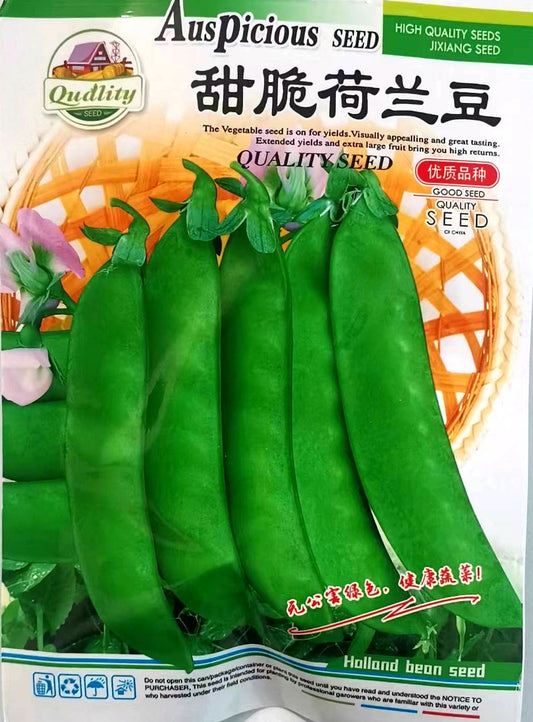 Kacang Salji （model 176.45)