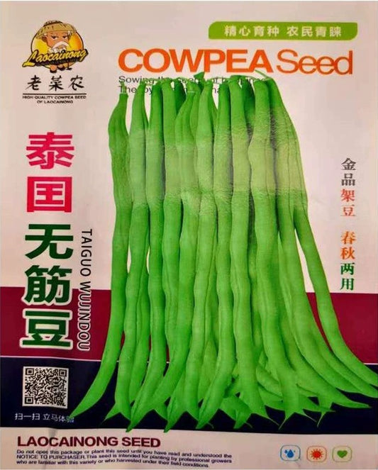 Kacang Buncis (model 176.47J)