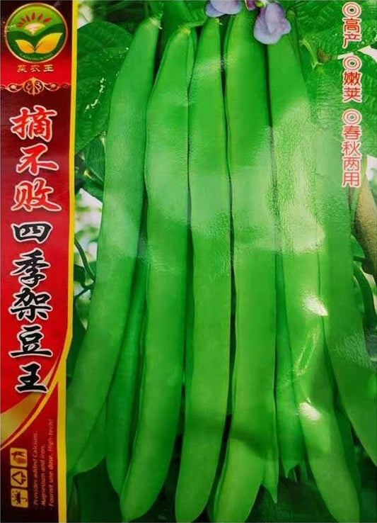 Kacang Manis / (model 176.48J)