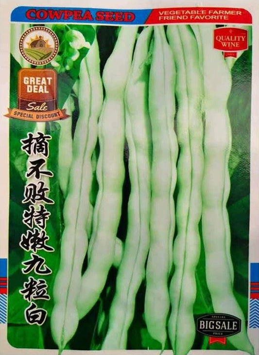 Kacang Buncis Putih (model 176.49J)