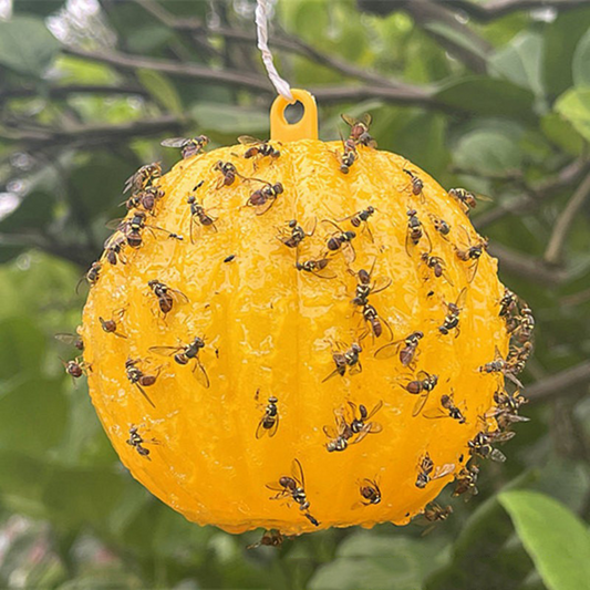 Perangkap Lalat Buah Pelekat Serangga (Model 167.4)