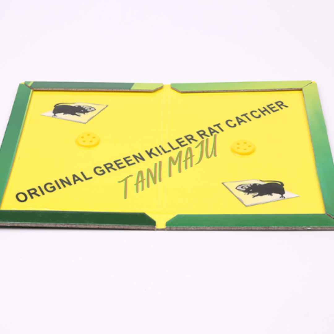 Super Mouse Glue Trap +FREE UBAT UMPAN (Model 234)