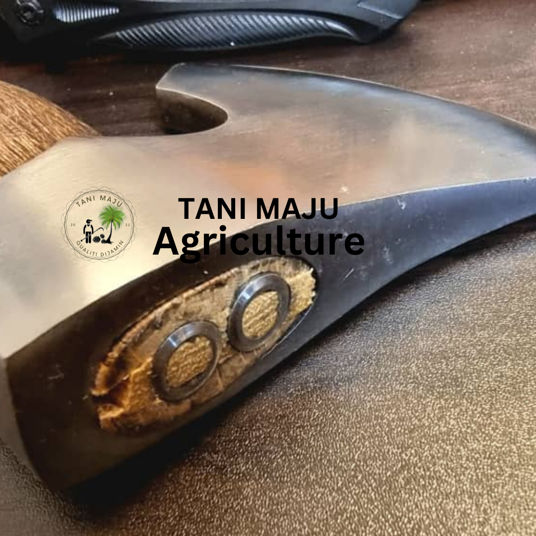(Model 279.1 )Kapak Putih + Hulu Kayu
