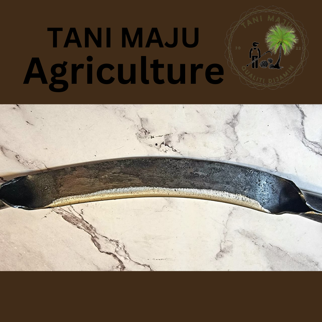 Model 354.1 / Pisau Kulit Kayu Bengkok | Bark Scraper Knife | Alat Kupas Kulit Kayu