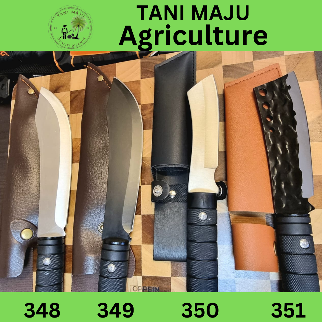 Model 348-351 Pisau Serbaguna Tajam Untuk Luar & Dapur – Pisau Camping, Potong Daging, Buah & Tulang (4 Jenis Dengan Sarung)