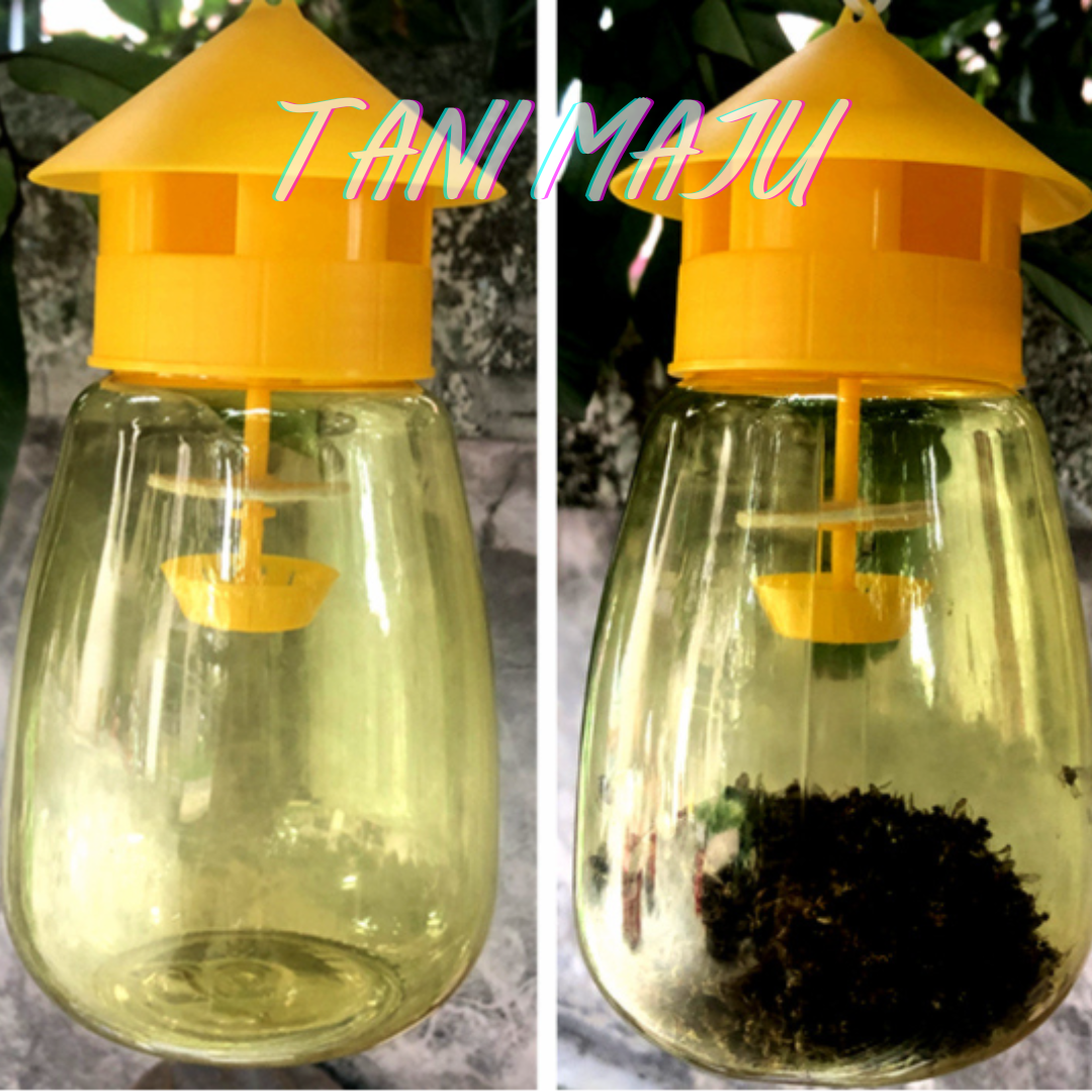 Perangkap Lalat Buah Fruit Fly bottle (Model 169.2-169.3)