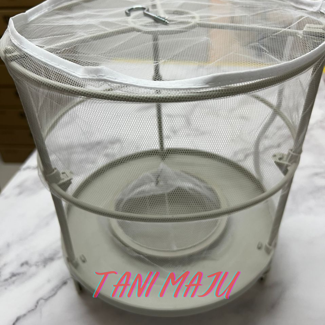 Perangkap Lalat Fly Trap Umpan Lalat Berkesan Ubat Lalat / Perangkap Lalat Fruit Fly Trap Ubat Attractant Feromone (Model 250-251)