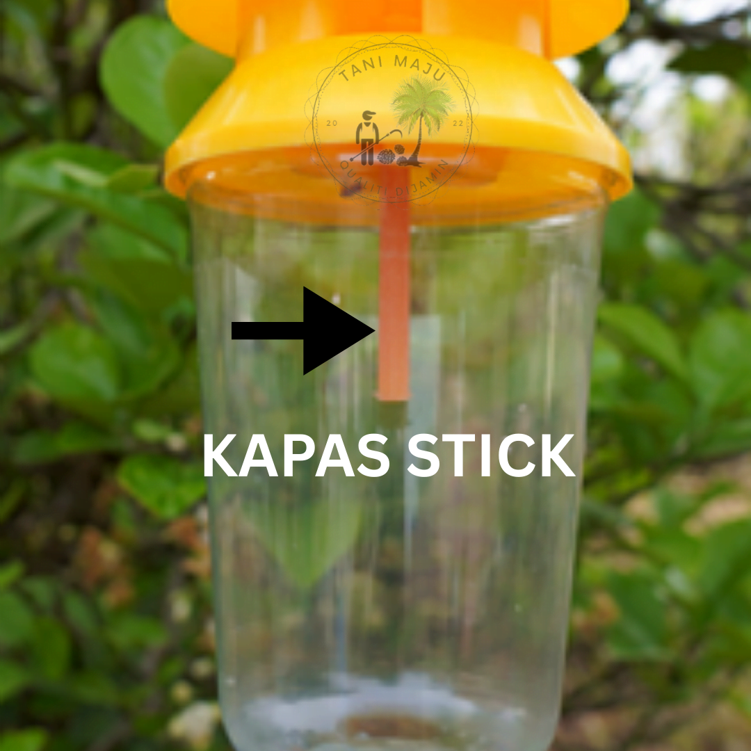 Model 168.2 /Aksesori Umpan Lalat Buah – Batang Kapas / Span Bulat Penyerap Cecair