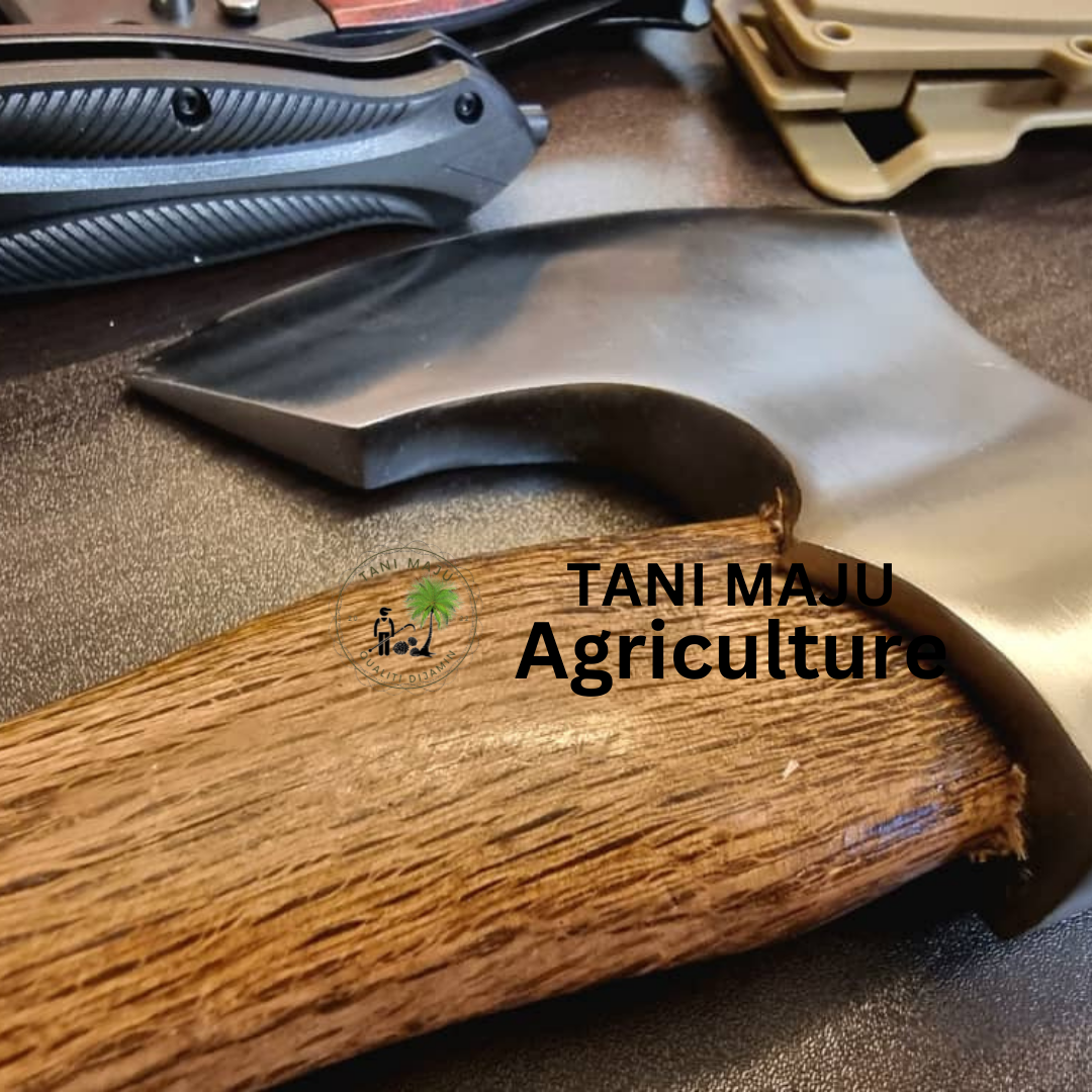 (Model 279.1 )Kapak Putih + Hulu Kayu