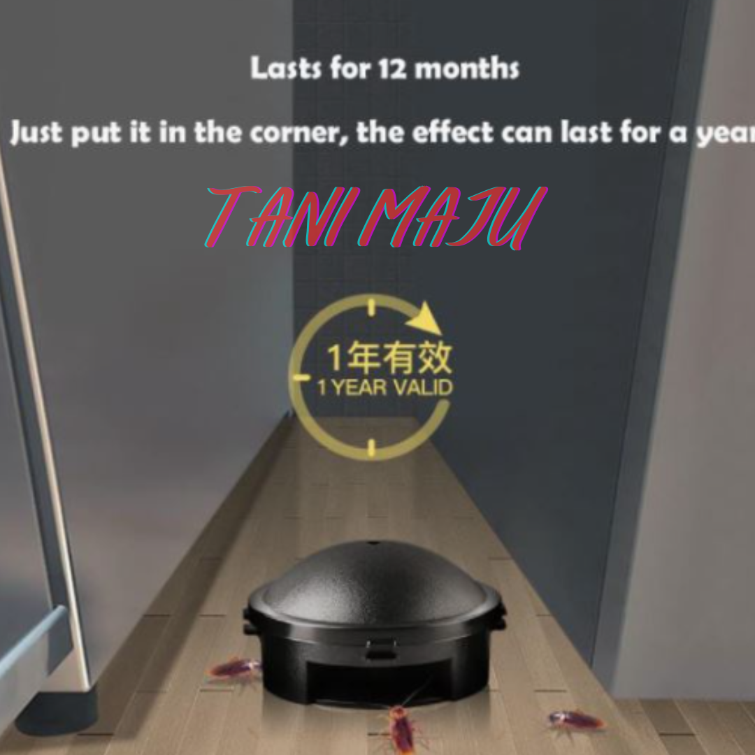 【Japan Imported】 12pcs/Box Cockroach Catch Room Black Box Trap Killer Non-toxic Safe/ Japanese Kill Cockroach / (Model 259)
