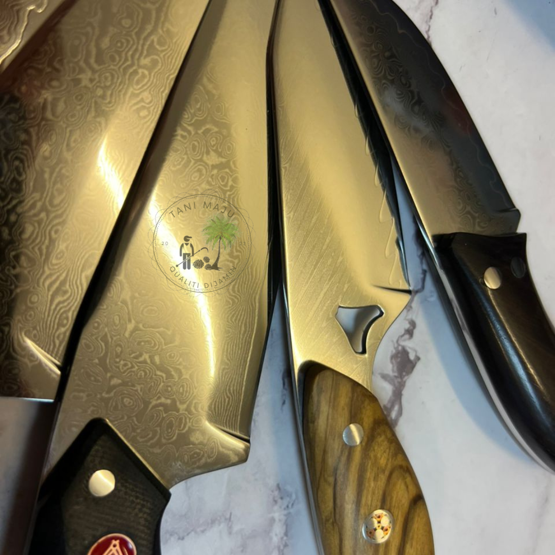 Pisau Damascus Serbaguna | 67 Lapisan Forge Camping Knife | Pisau Buah, Sayur & Daging