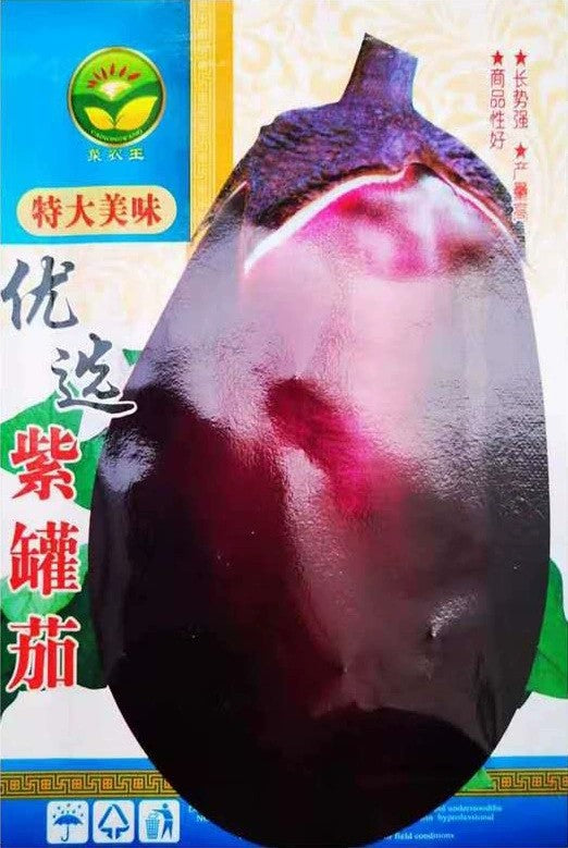 Terung Bulat (MODEL 176.6B)