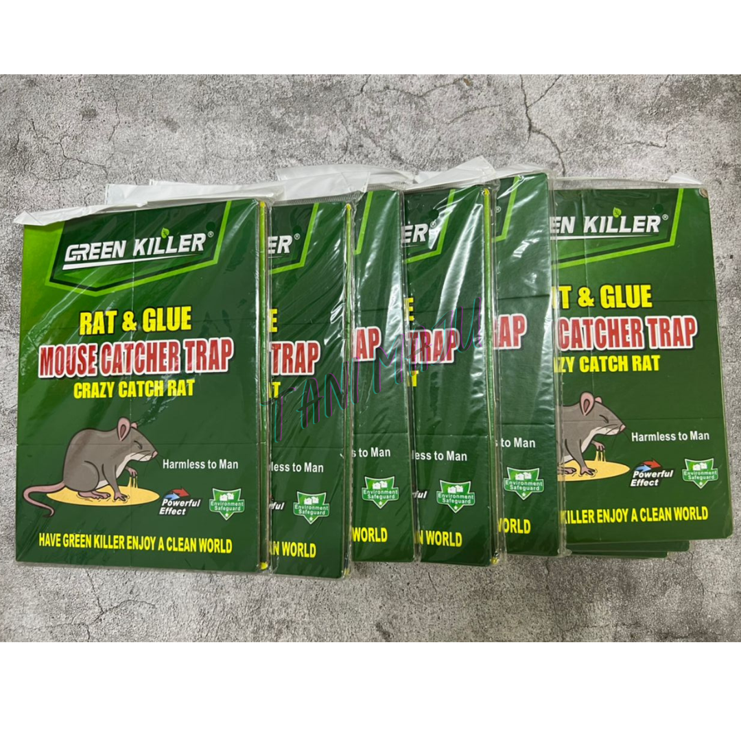 Super Mouse Glue Trap +FREE UBAT UMPAN (Model 234)