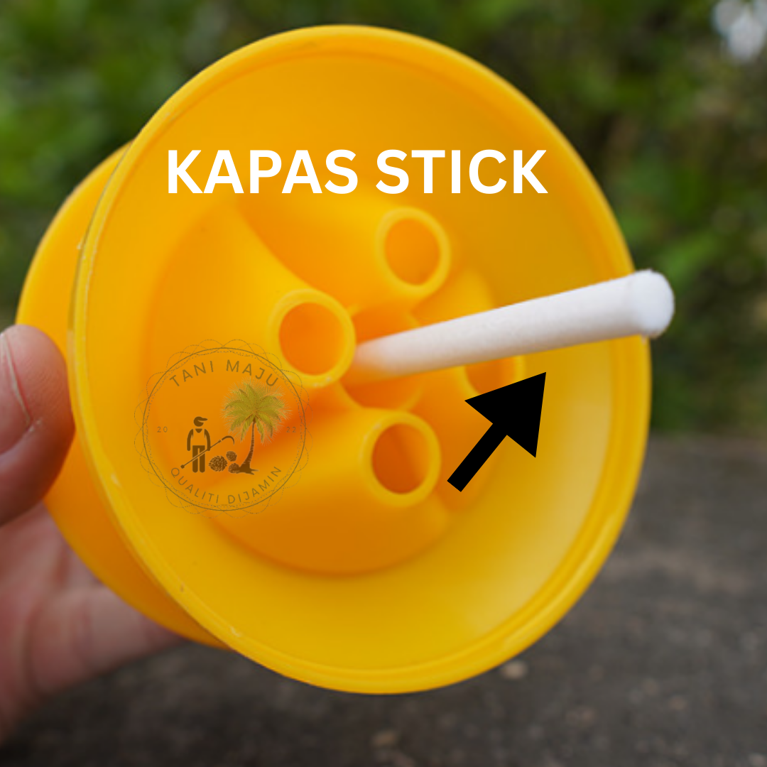 Model 168.2 /Aksesori Umpan Lalat Buah – Batang Kapas / Span Bulat Penyerap Cecair