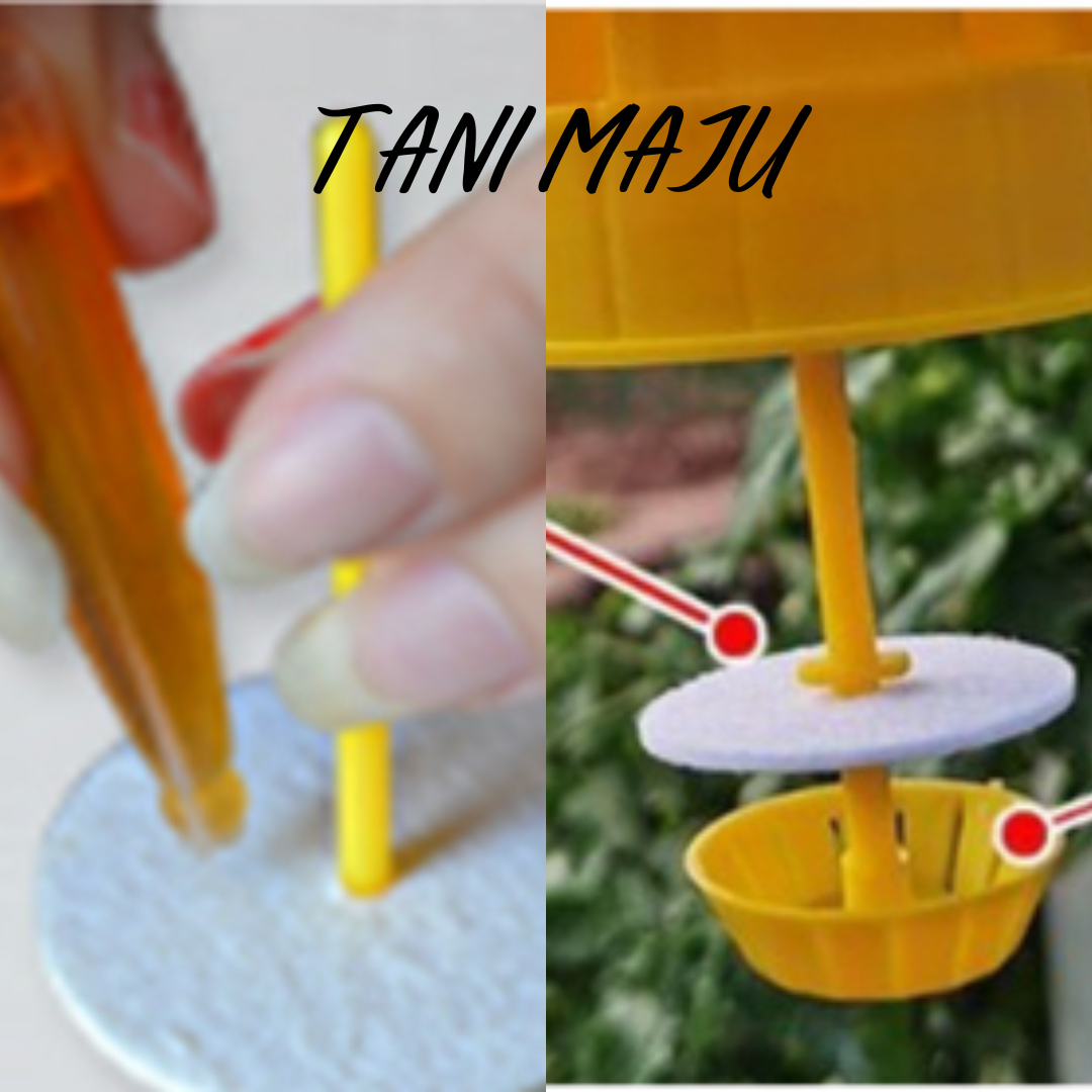 Perangkap Lalat Buah Fruit Fly bottle (Model 169.2-169.3)