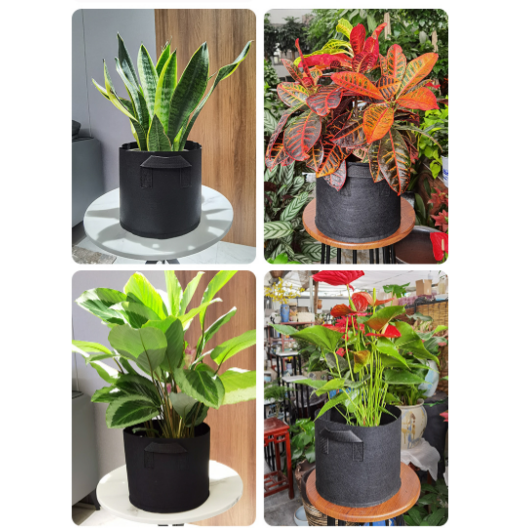 AgroBuddy 1/2/3/5/7/10 Gallon Felt Non-woven Fabric Beg Tanaman Saiz Kecil Hitam Plant Growing Bag / 无纺布毛毡植物种植袋 / (Model 175)