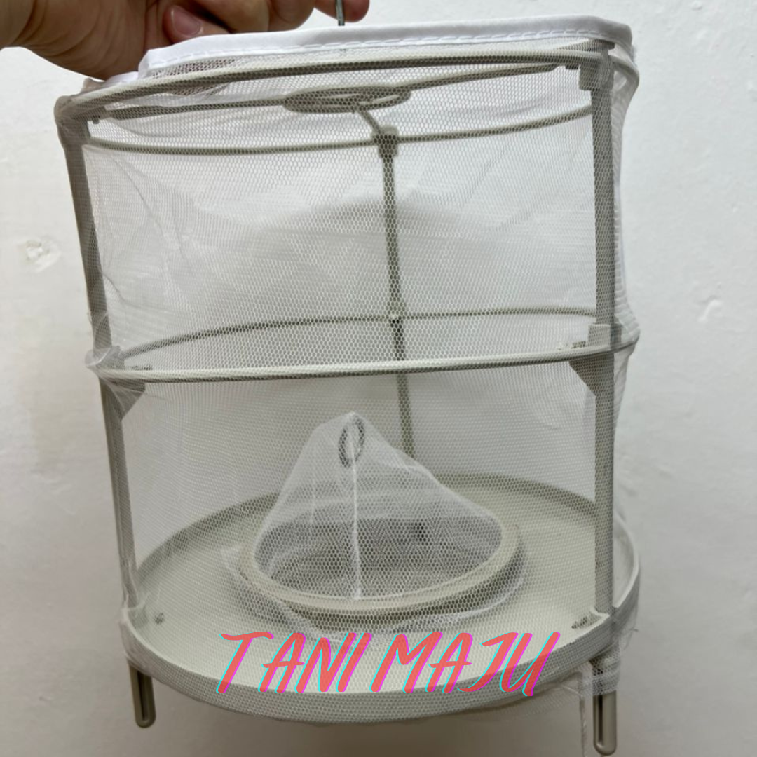Perangkap Lalat Fly Trap Umpan Lalat Berkesan Ubat Lalat / Perangkap Lalat Fruit Fly Trap Ubat Attractant Feromone (Model 250-251)
