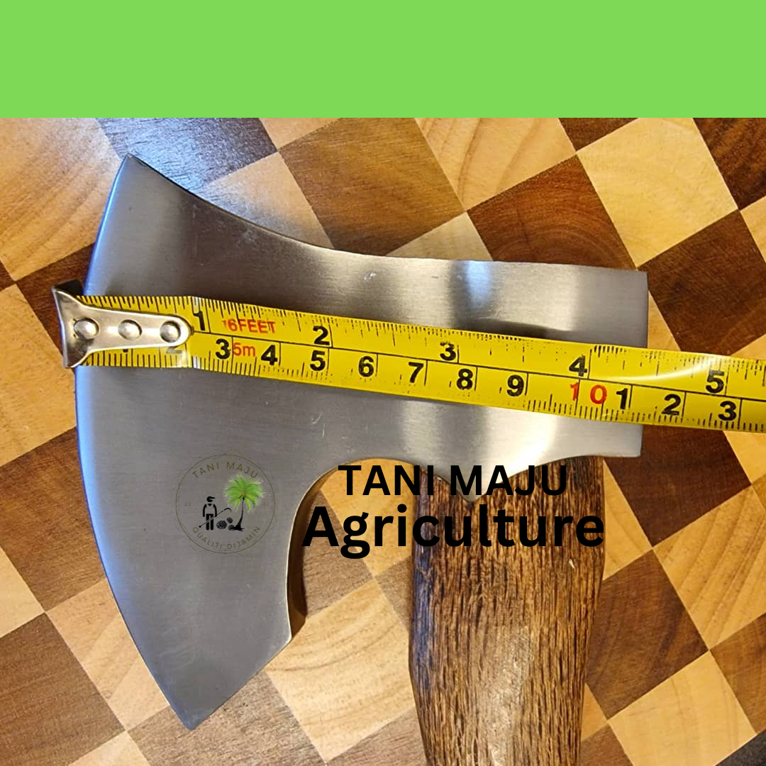 (Model 279.1 )Kapak Putih + Hulu Kayu