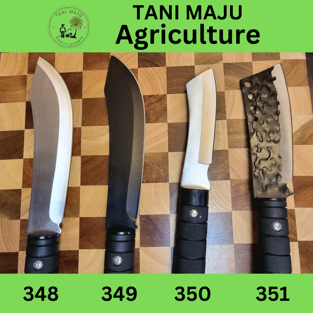 Model 348-351 Pisau Serbaguna Tajam Untuk Luar & Dapur – Pisau Camping, Potong Daging, Buah & Tulang (4 Jenis Dengan Sarung)