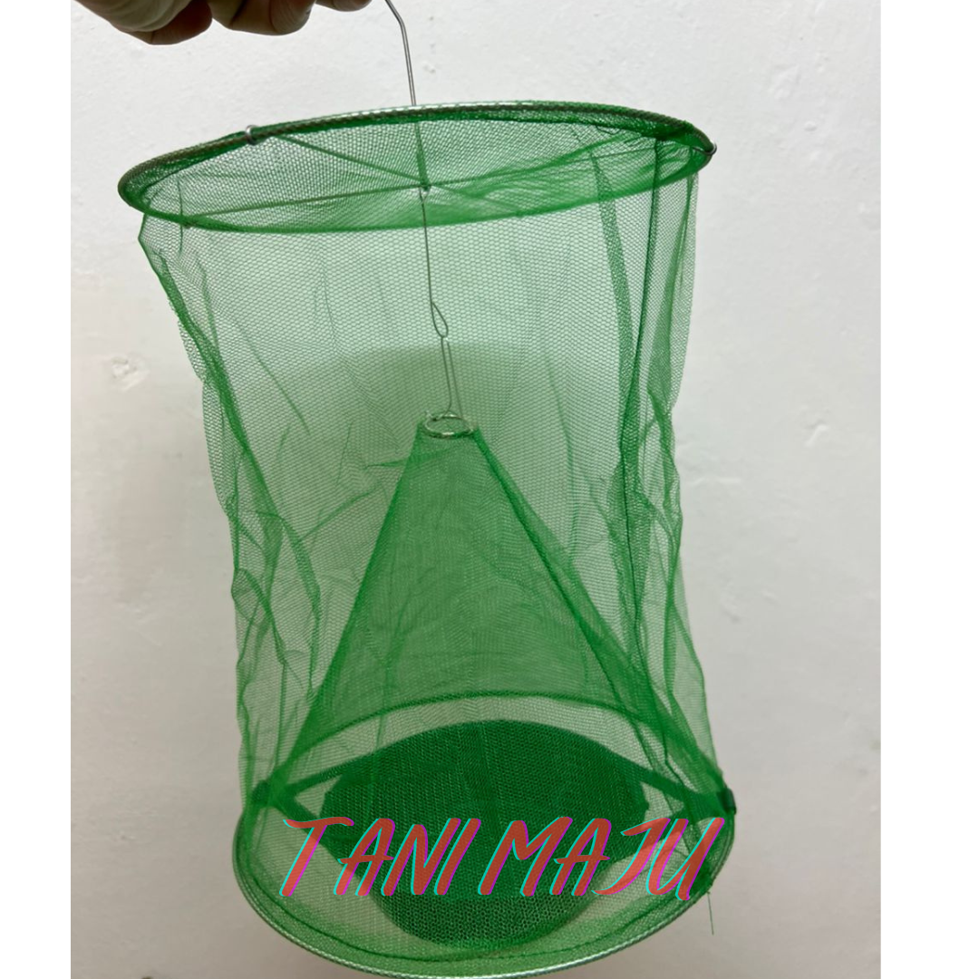 Perangkap Lalat Fly Trap Umpan Lalat Berkesan Ubat Lalat / Perangkap Lalat Fruit Fly Trap Ubat Attractant Feromone (Model 250-251)