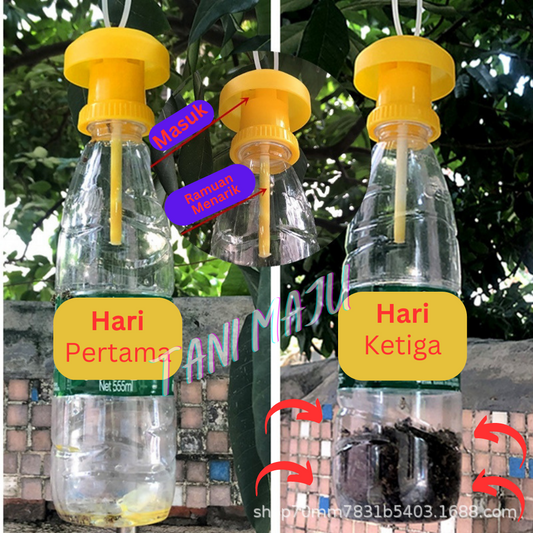 Perangkap Lalat Buah Fruit Fly Trap Ubat Attractant Feromone (Model 168)
