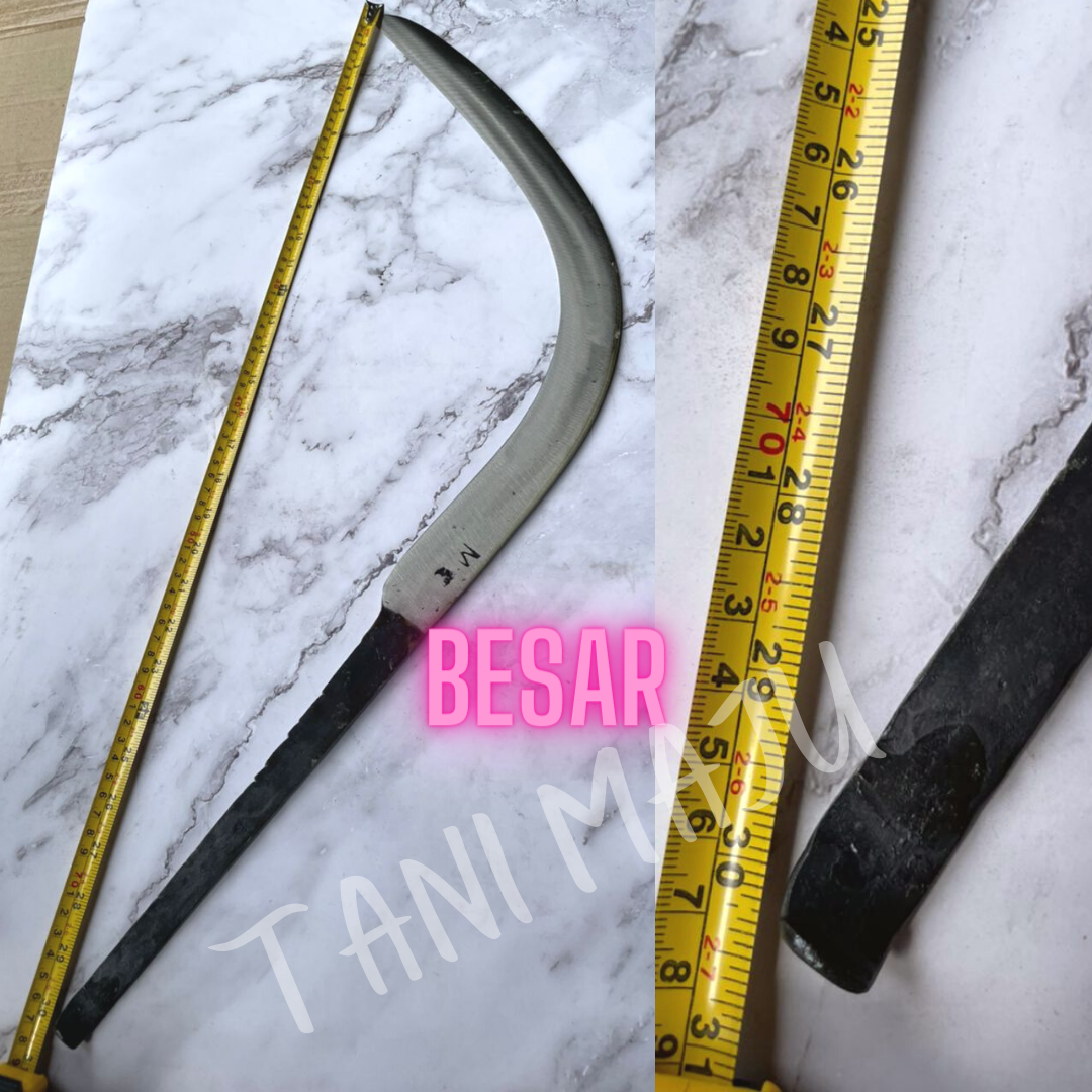 Sabit Sawit (Steel) ( Model 111-113)