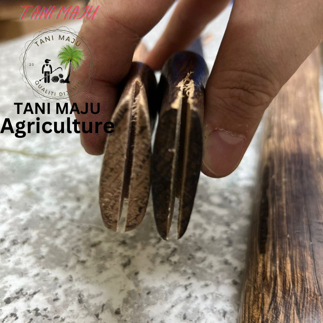 Hulu Kayu Kapak / Greenwood Material / 4 Size / 270-273