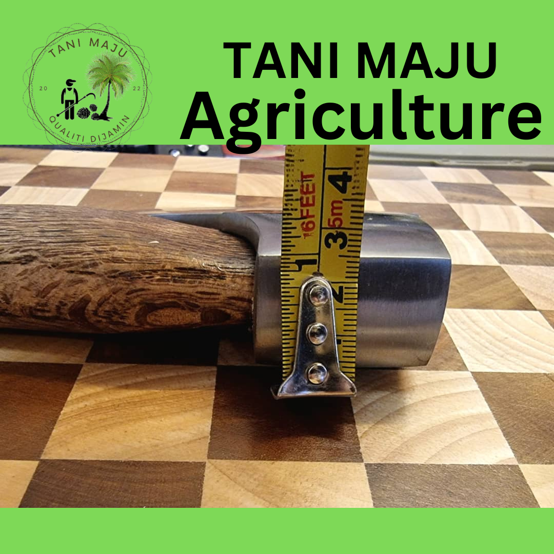 (Model 279.1 )Kapak Putih + Hulu Kayu