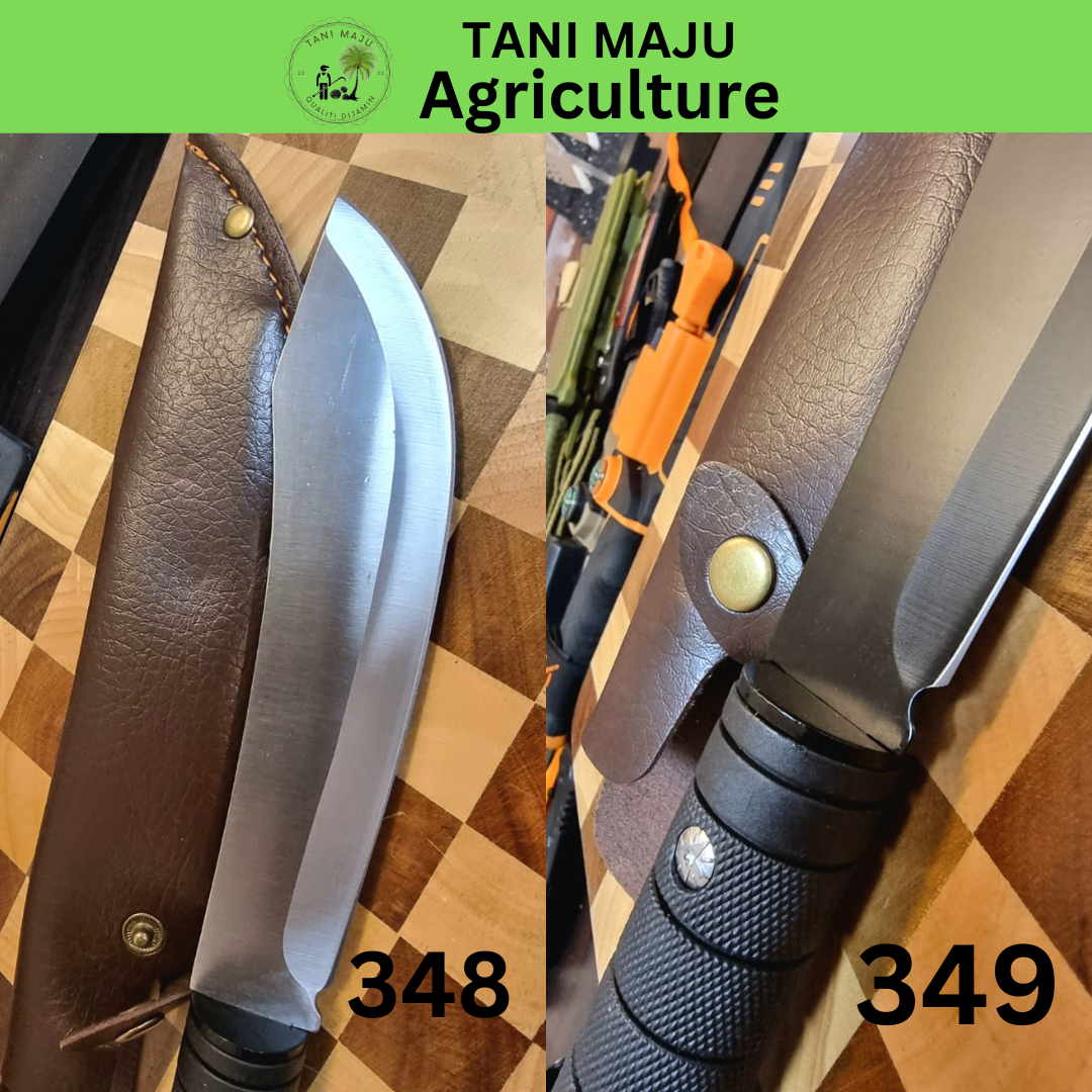 Model 348-351 Pisau Serbaguna Tajam Untuk Luar & Dapur – Pisau Camping, Potong Daging, Buah & Tulang (4 Jenis Dengan Sarung)