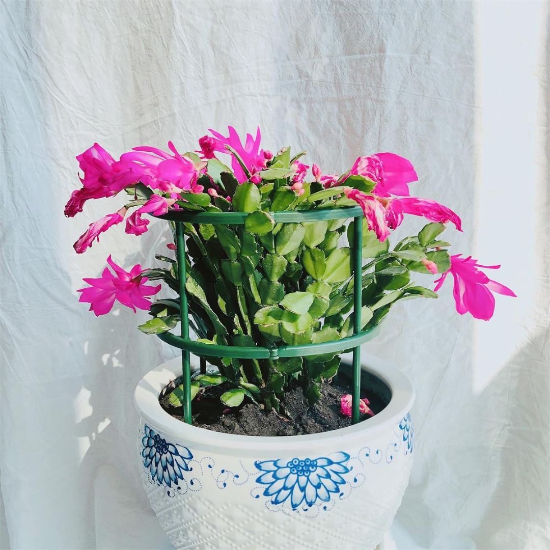 Flower Plant Metal Support Stand Bonsai Stake Backyard  /Garden Tool  Support Ring Climbing Plant Stick Pole (Model 167)