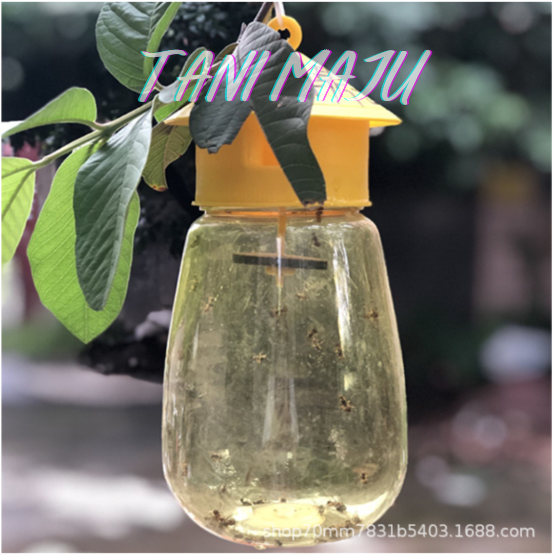 Perangkap Lalat Buah Fruit Fly bottle (Model 169.2-169.3)