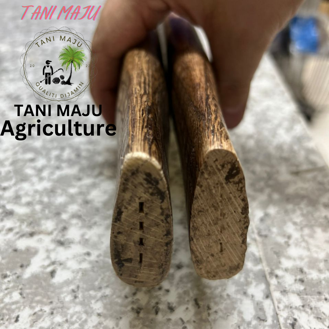 Hulu Kayu Kapak / Greenwood Material / 4 Size / 270-273