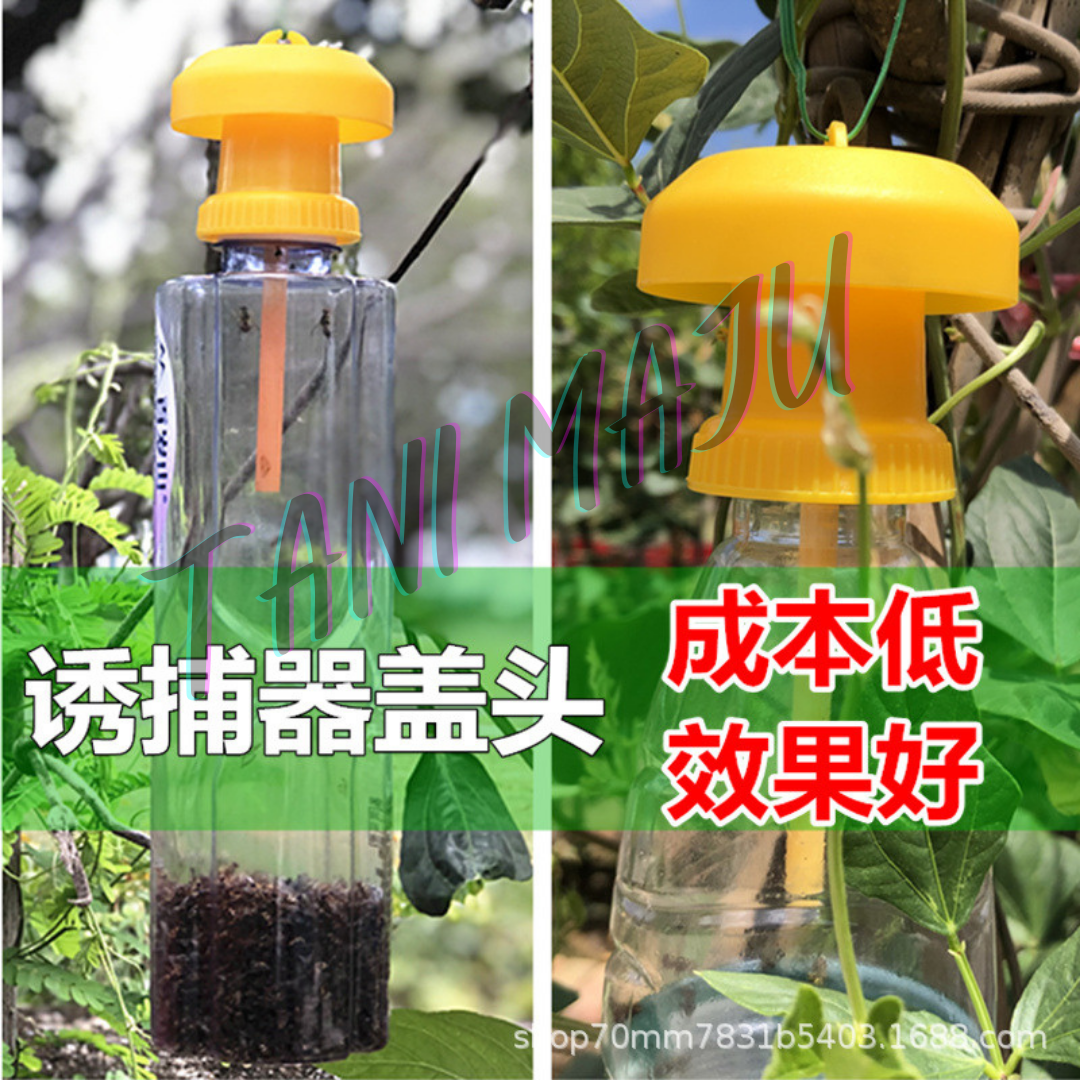 Perangkap Lalat Buah Fruit Fly Trap Ubat Attractant Feromone (Model 168)