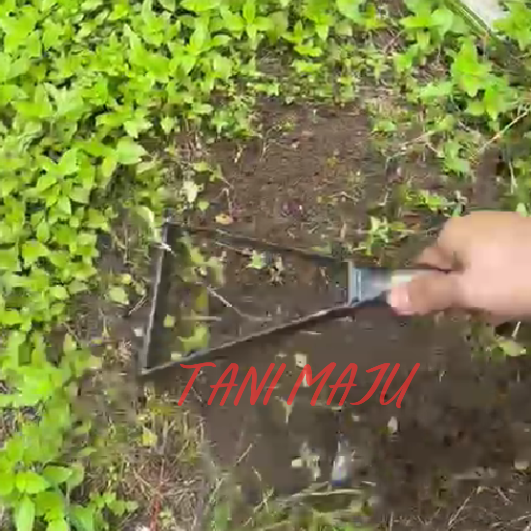 Model 093.5 / cakar kulit pokok buah-buahan / pokok kulih pisau / pisau menoreh getah