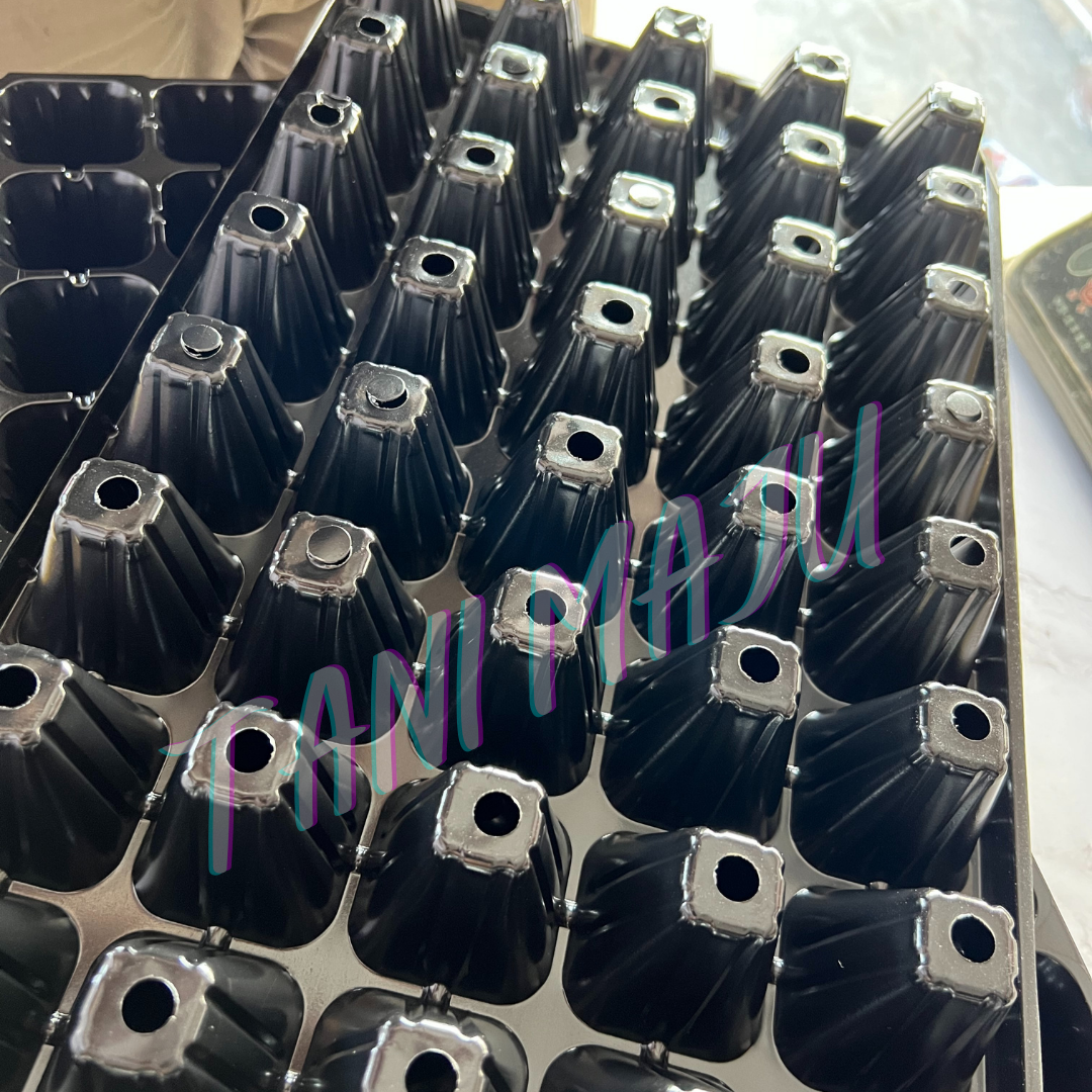 Holes Seedling Tray Plastic Nursery Tray / 50 HOLES / 105HOLES / Bekas Benih Plastic Tray Benih Semaian / 育苗盘 育苗 / (Model 173)