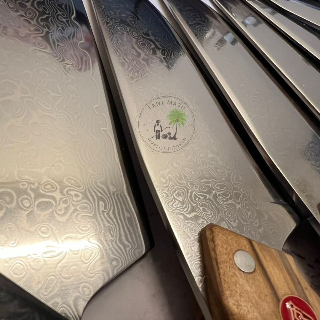 Pisau Damascus Serbaguna | 67 Lapisan Forge Camping Knife | Pisau Buah, Sayur & Daging